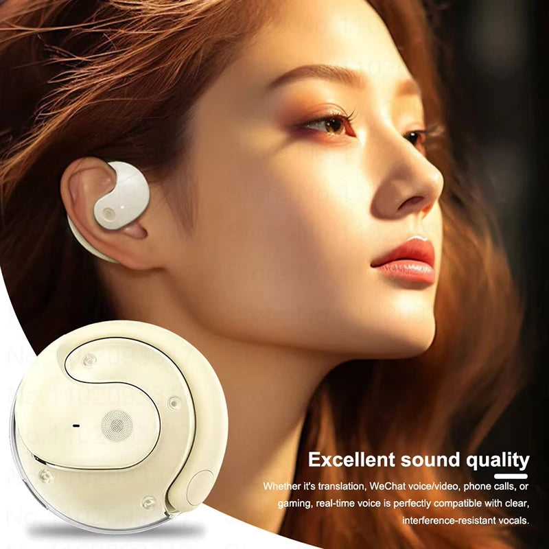 AI Real-time Language Translation Earphone Bluetooth TWS Smart Instant Scan Translator Device Wireless Headphone EarHook Earbuds